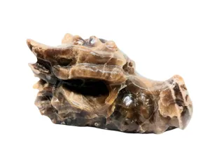 395G Amber Flower Agate Crystal Dragon Head