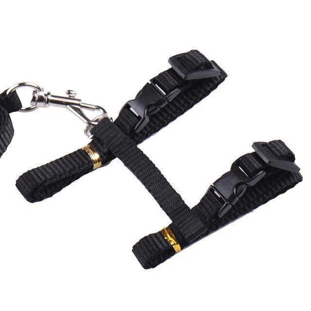 Cat Harness And Leash Hot Sale 4 Colors Nylon Products For Animals Adjustable Pet Traction Harness Belt Cat Kitten Halter Collar