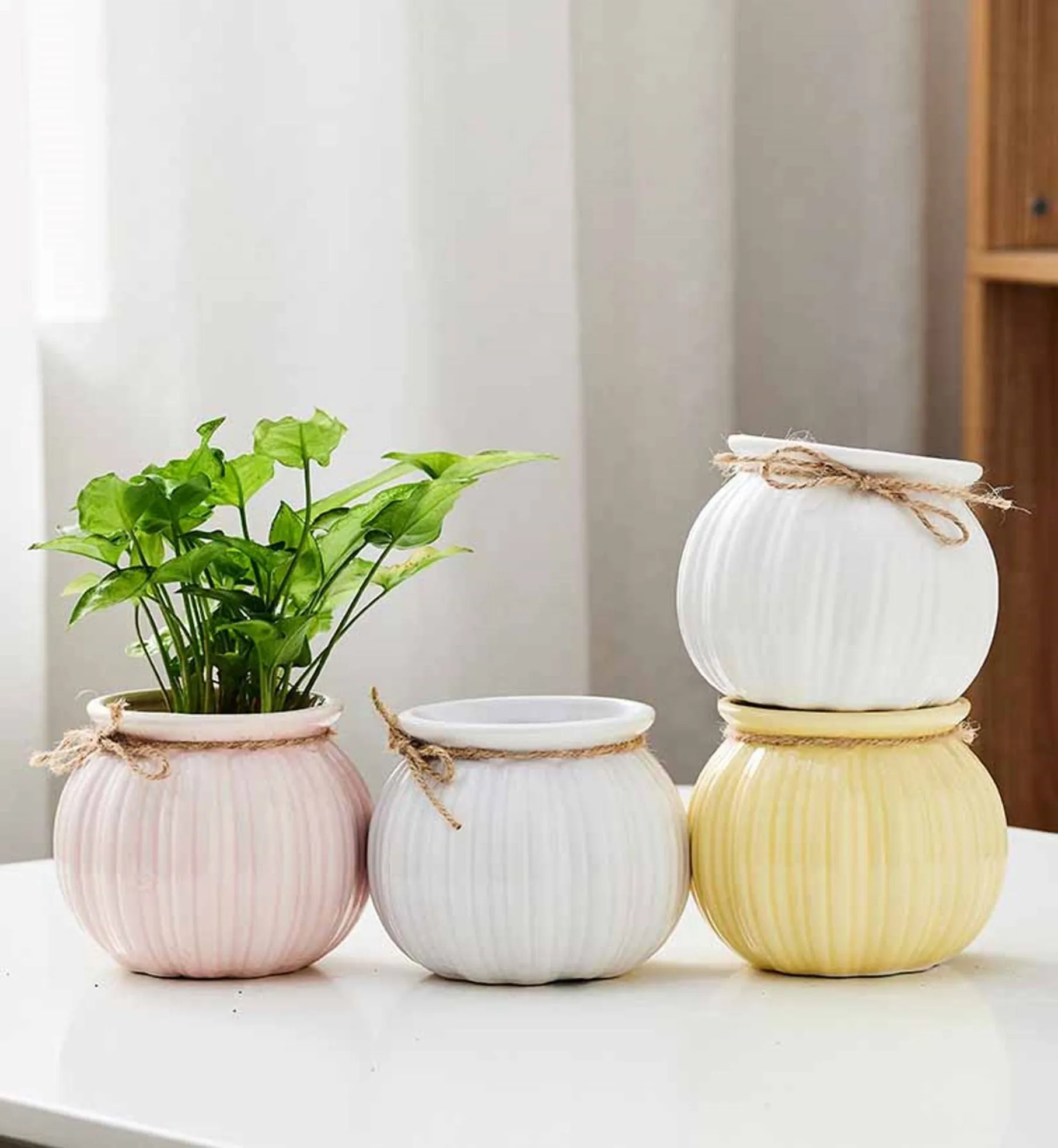 Eye-Catching Pumpkin-Shaped Pastel Indoor Flower Pots