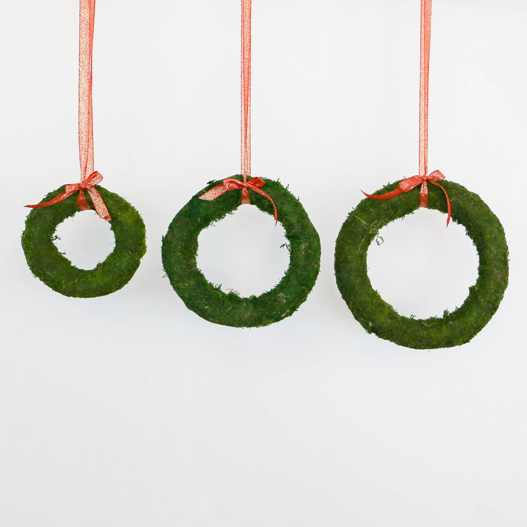 Green Moss Wreath | 6.5 inch